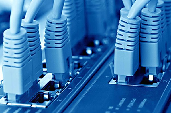Network cables plugged into a switch